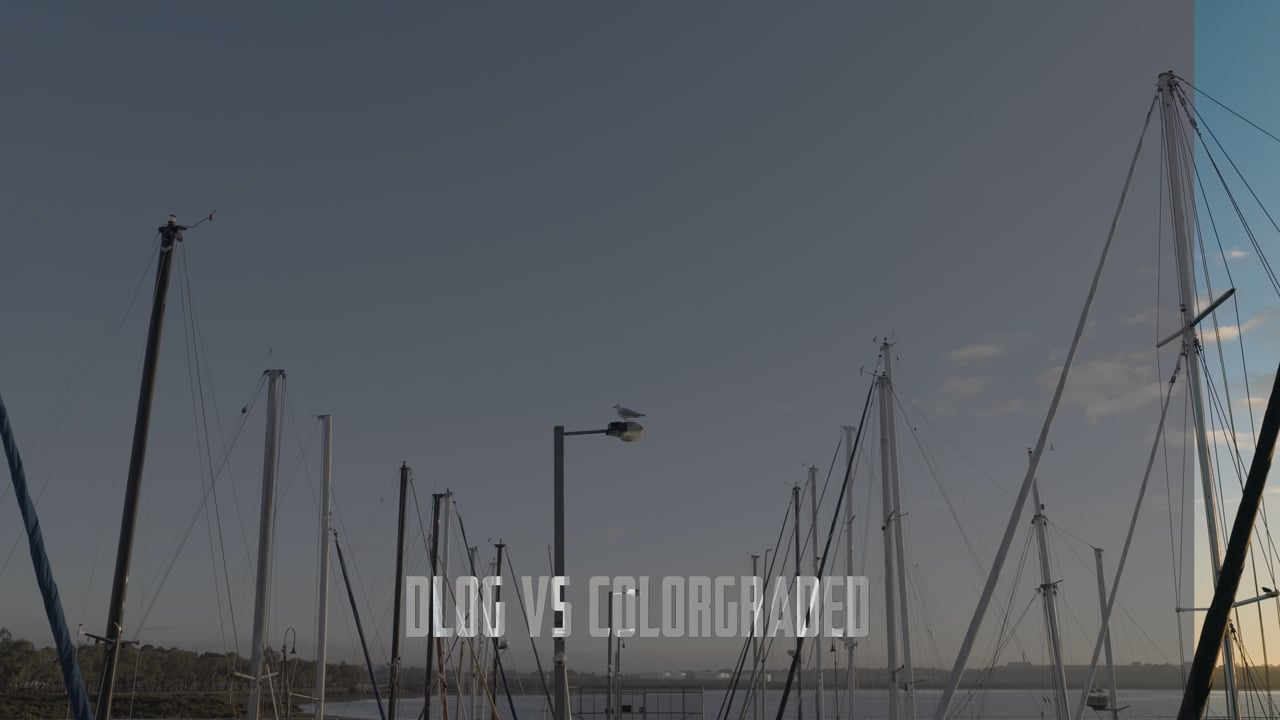 Colour Grading — Colour & Motion project